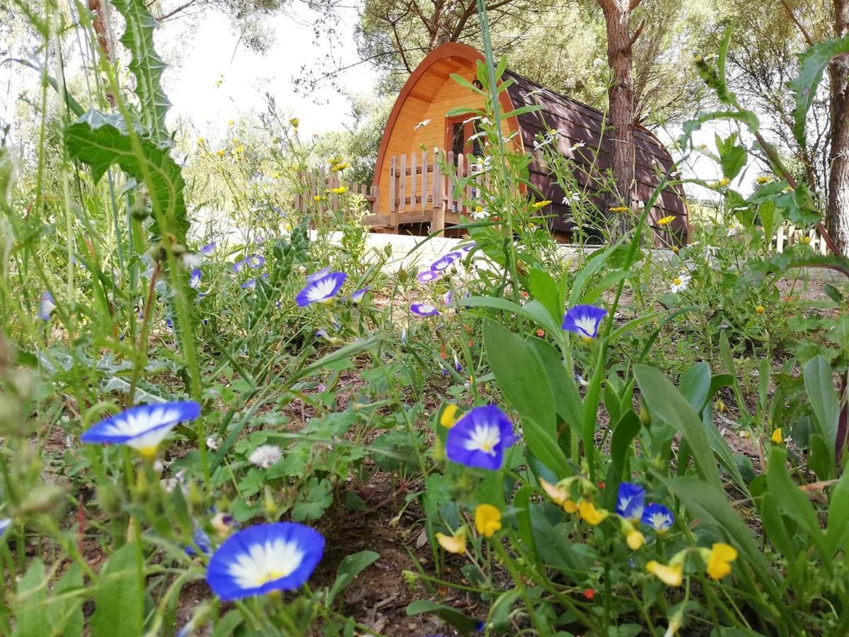 Glamping Sintra Ξενοδοχείο Εξωτερικό φωτογραφία