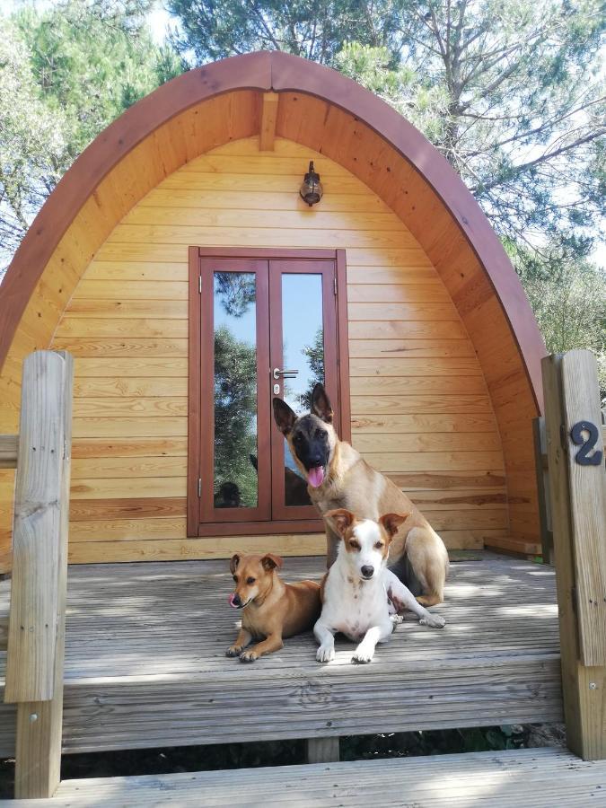 Glamping Sintra Ξενοδοχείο Εξωτερικό φωτογραφία
