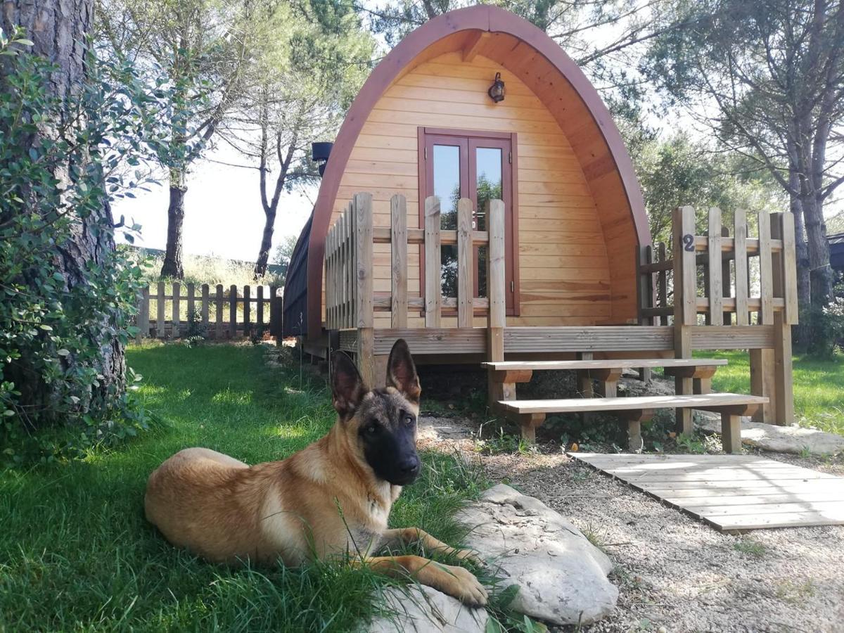 Glamping Sintra Ξενοδοχείο Εξωτερικό φωτογραφία